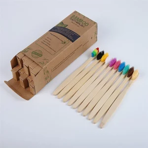 Conjunto de escova de dentes de bambu