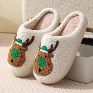 Chinelos personalizados para casa de inverno