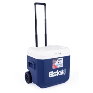 Promotional Portable Cooler Boxes